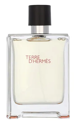 Hermès HERMES PARIS TERRE D'HERMES EAU DE TOILETTE 100ML VAPORIZADOR, perfume — foto 2