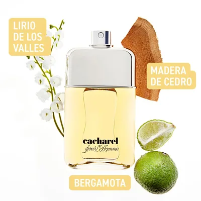 Cacharel Pour L'Homme Eau De Toilette de hombre en Vaporizador 100 ml, perfume — foto 2