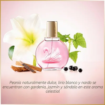 Gloria Vanderbilt Minuit à New York EDP Spray 100ml, perfume — foto 3