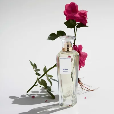 Adolfo Dominguez Agua Fresca de Rosas Edt Vapo, perfume — foto 3