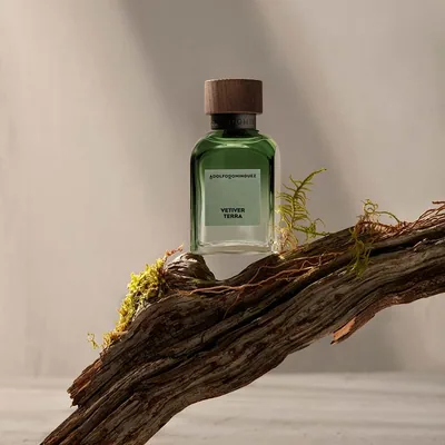 Adolfo Dominguez Perfume Hombre Adolfo Dominguez Vetiver Terra EDP Vetiver Terra…, perfume — foto 3