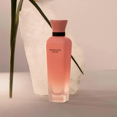 Adolfo Dominguez Terracota Musk Eau de Parfum Vaporizador 120 ml, perfume — foto 3