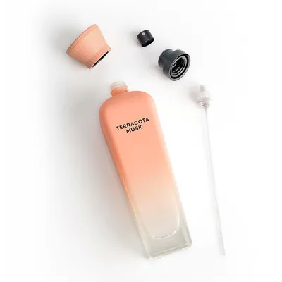 Adolfo Dominguez Terracota Musk Eau de Parfum Vaporizador 120 ml, perfume — foto 4
